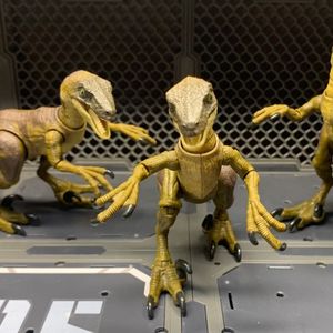 Velociraptor