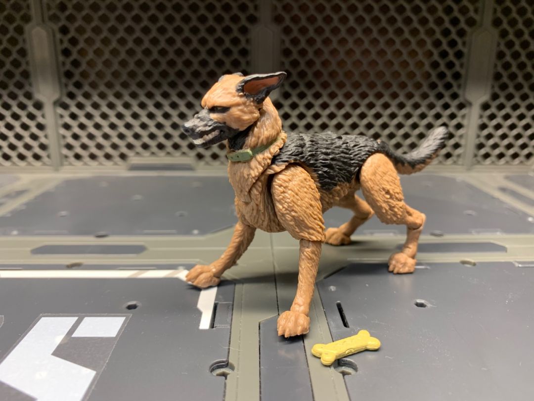 German Shepard K9 Unit  - Image 2