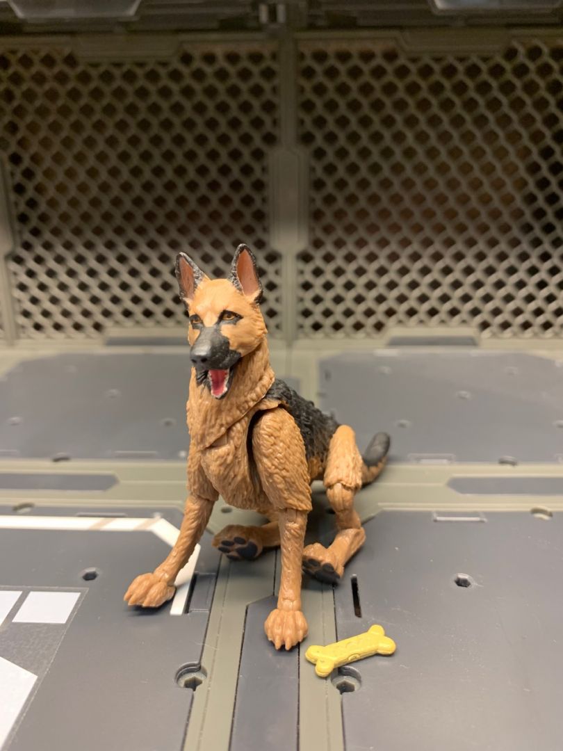 German Shepard K9 Unit  - Image 3