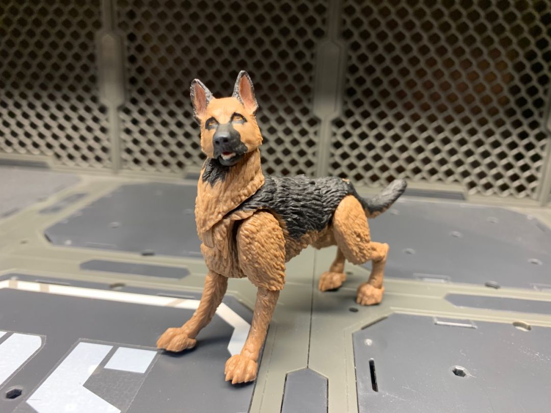 German Shepard K9 Unit  - Image 4