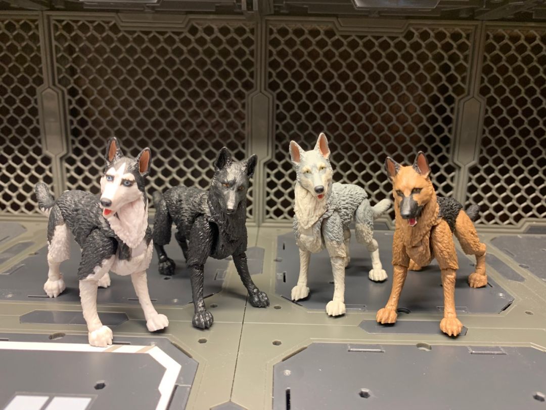 German Shepard K9 Unit  - Image 5