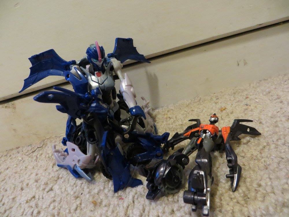 Arcee Playtime - Image 1