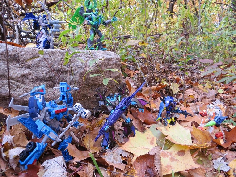 Prime in the woods - Image 1