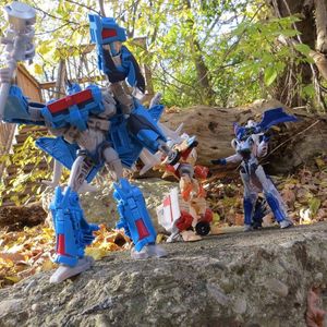 Prime in the woods