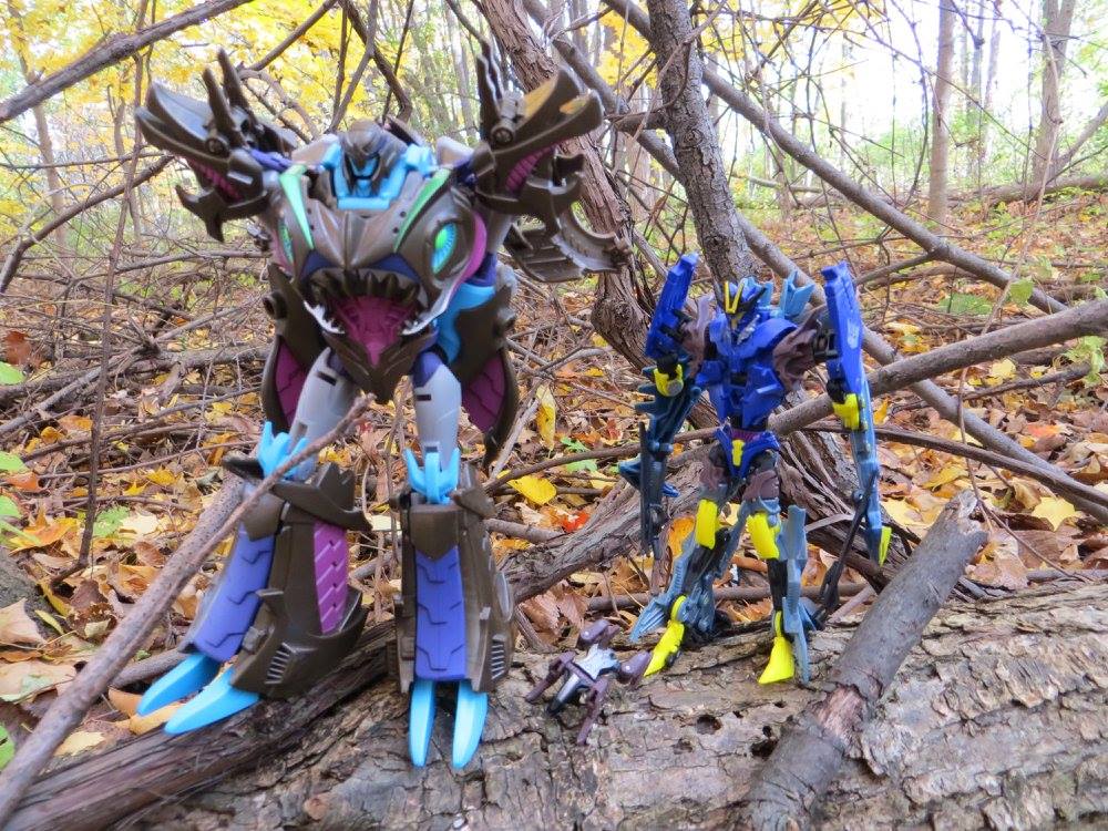 Prime in the woods - Image 3