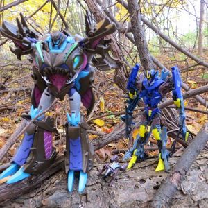 Prime in the woods