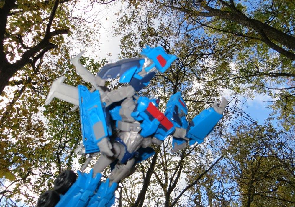 Prime in the woods - Image 4