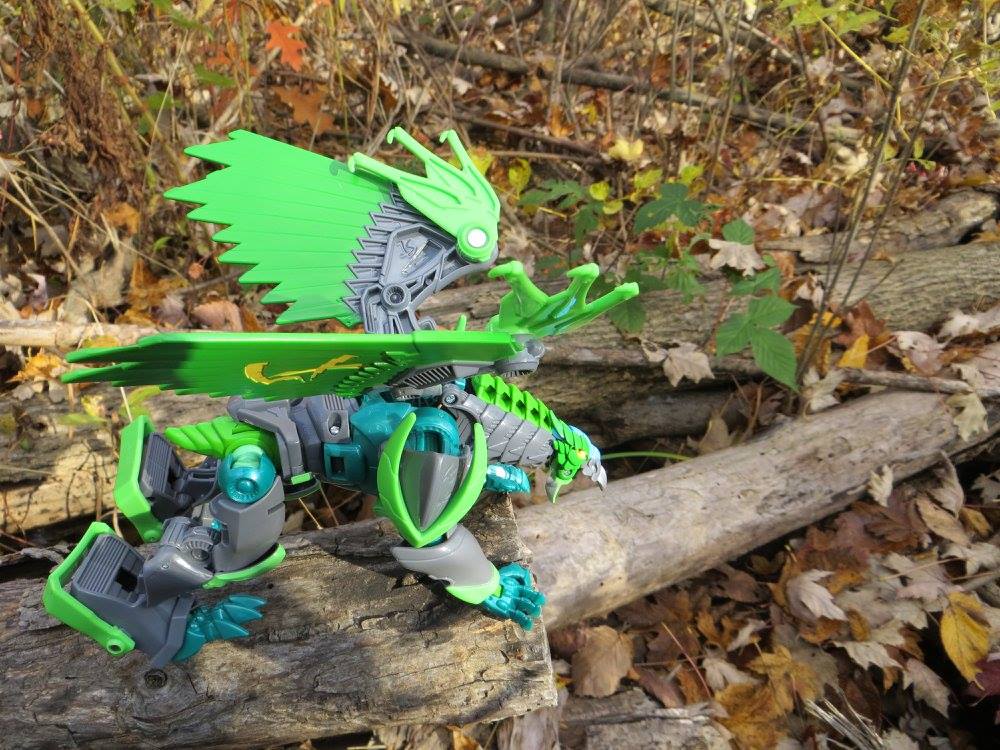Prime in the woods - Image 6