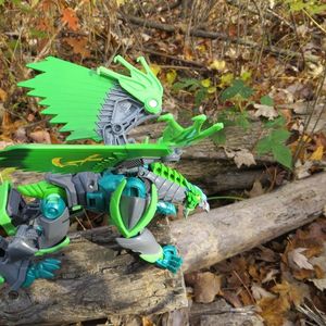 Prime in the woods