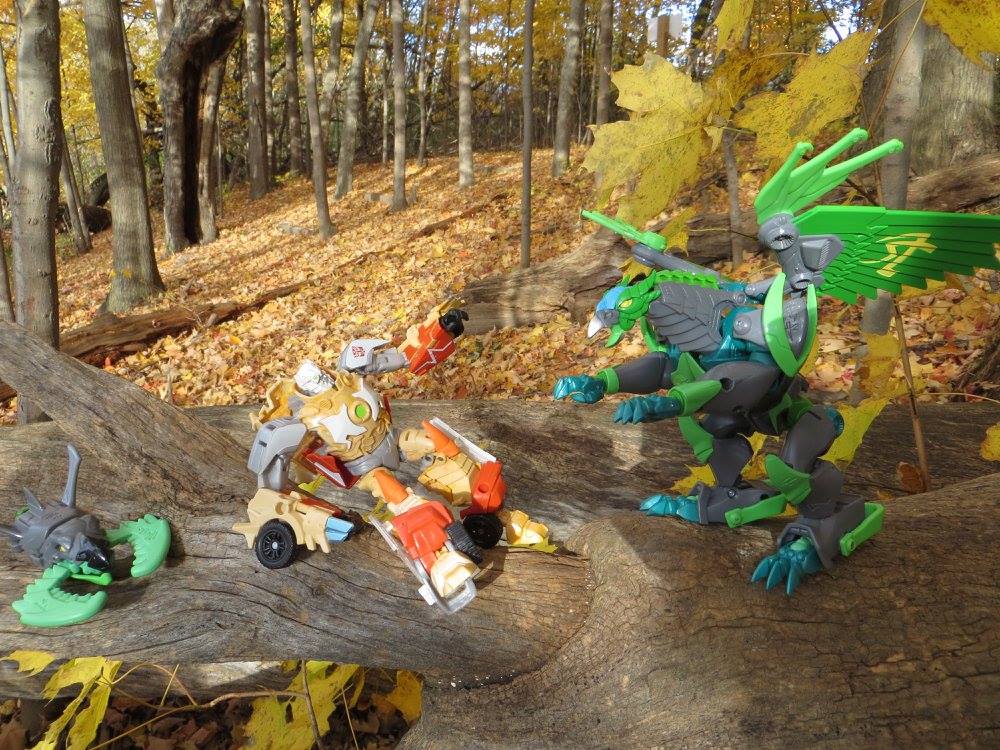Prime in the woods - Image 7