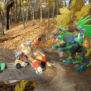 Prime in the woods
