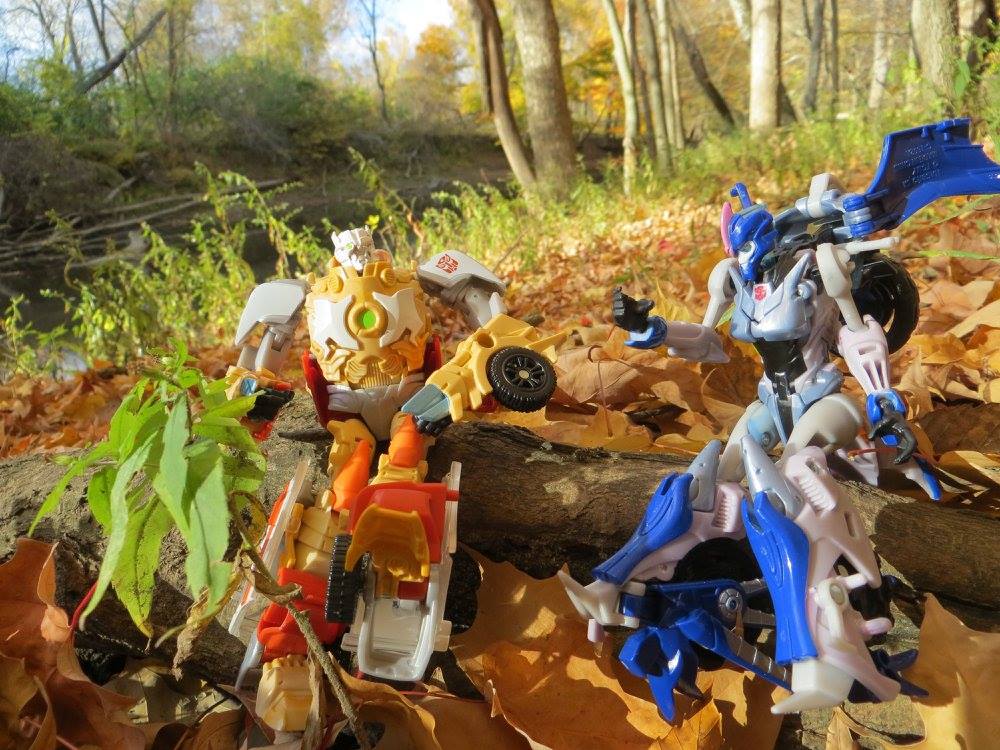 Prime in the woods - Image 8