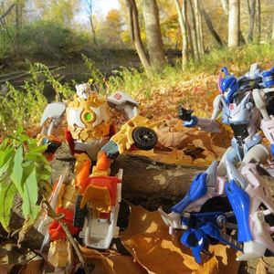 Prime in the woods