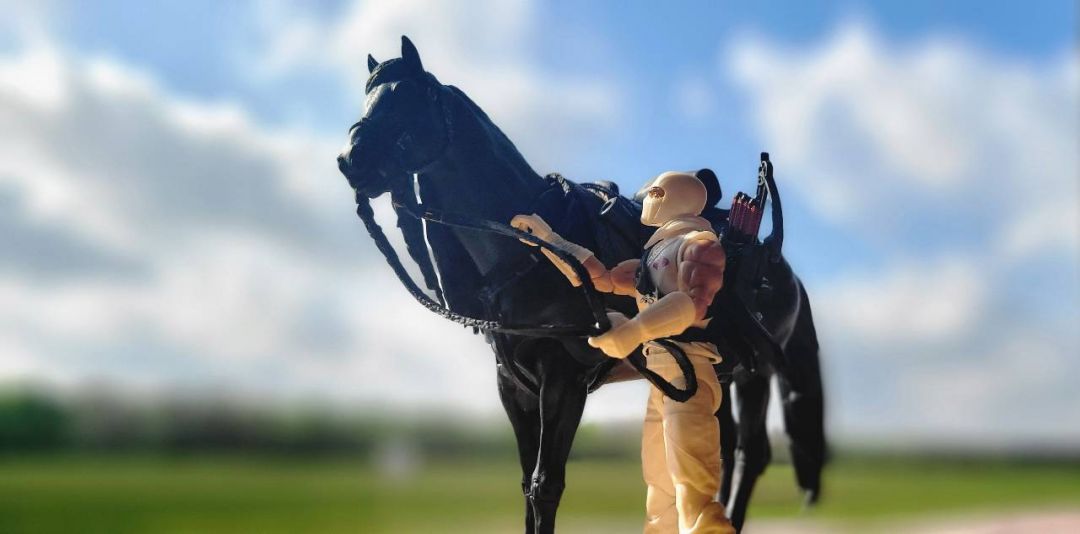 Stormshadow With Roach - Image 1