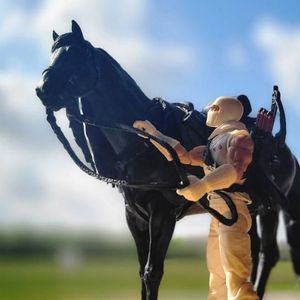 Stormshadow With Roach