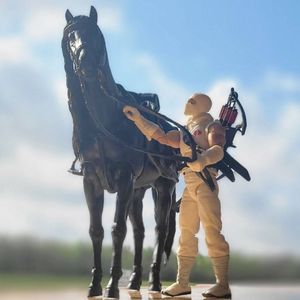 Stormshadow With Roach