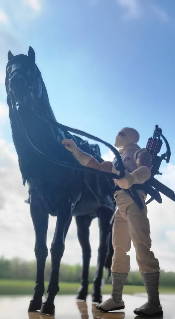 Stormshadow With Roach - Image 3