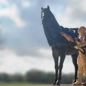 Stormshadow With Roach