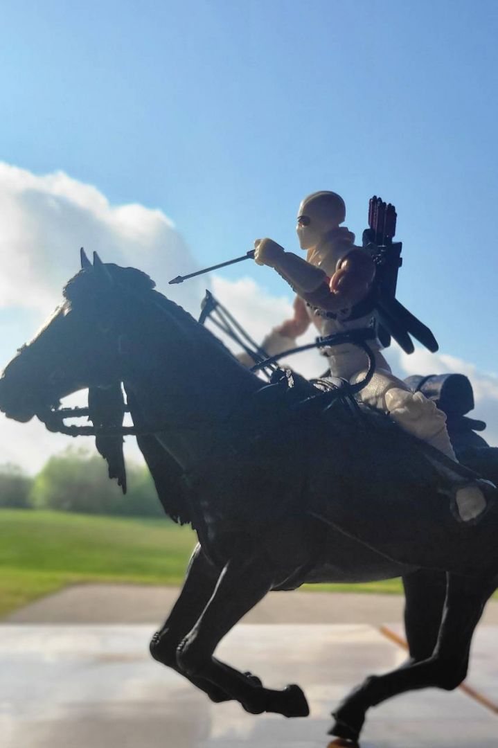 Stormshadow With Roach - Image 8