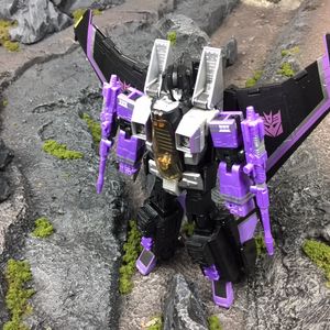 Skywarp 