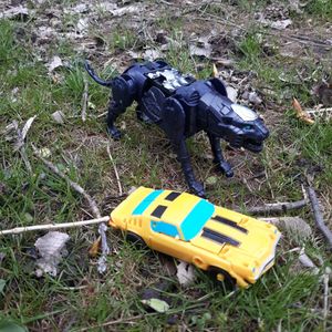Beast Combiners
