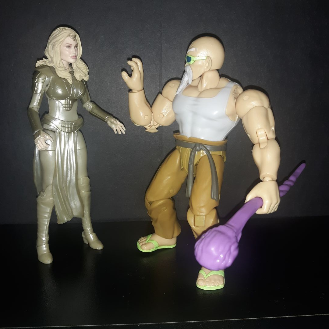 Master Roshi - Image 4