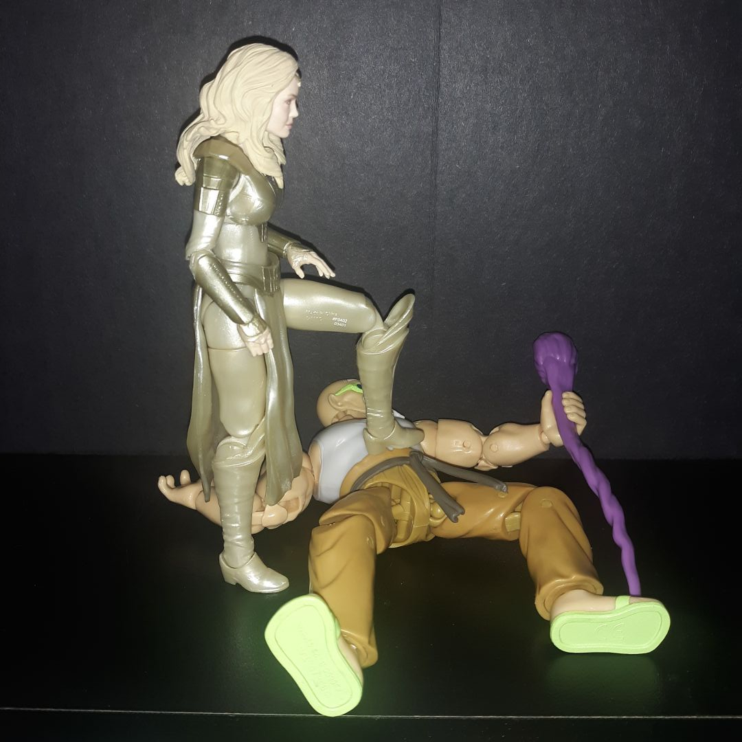 Master Roshi - Image 5