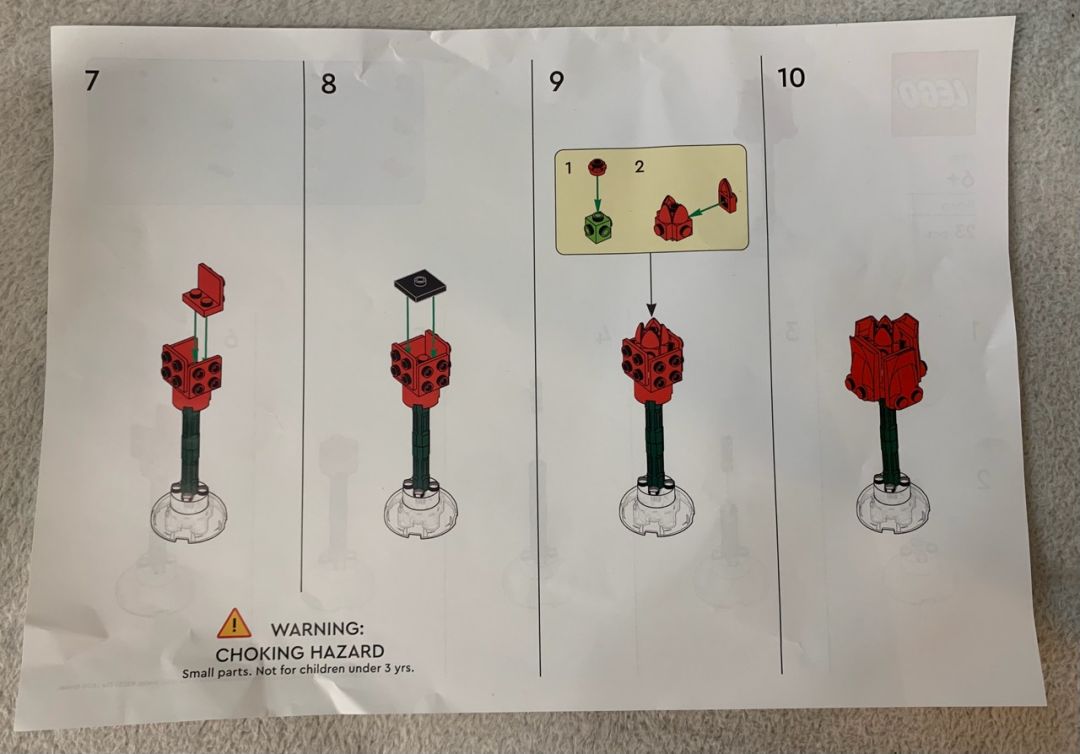 Rose - Image 7