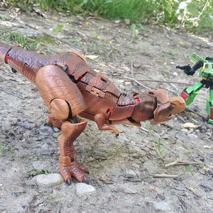Botassic Pack