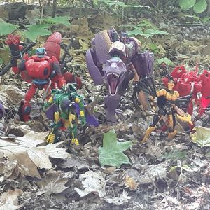 Beast Wars