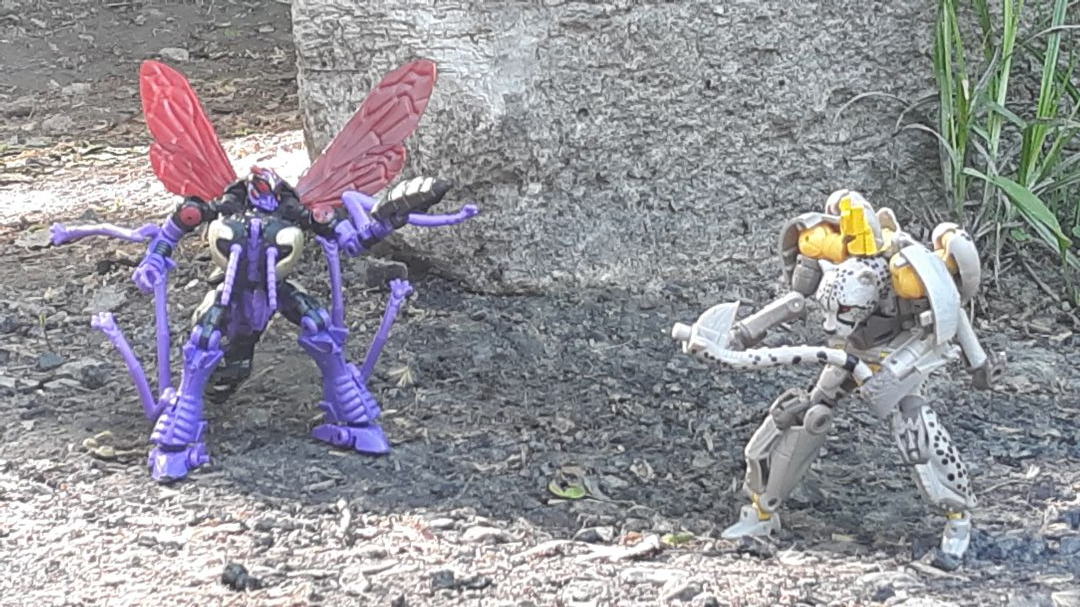 Beast Wars - Image 4