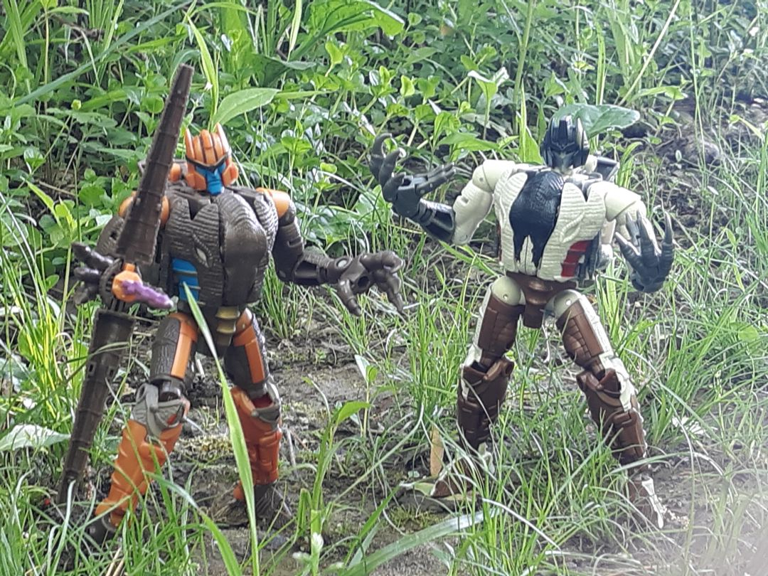 Raptor Bots - Image 1