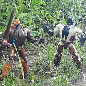 Raptor Bots