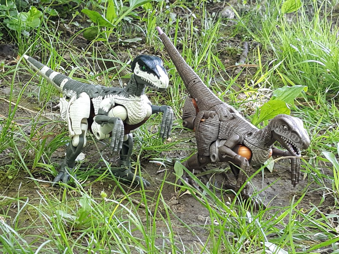 Raptor Bots - Image 2