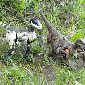 Raptor Bots