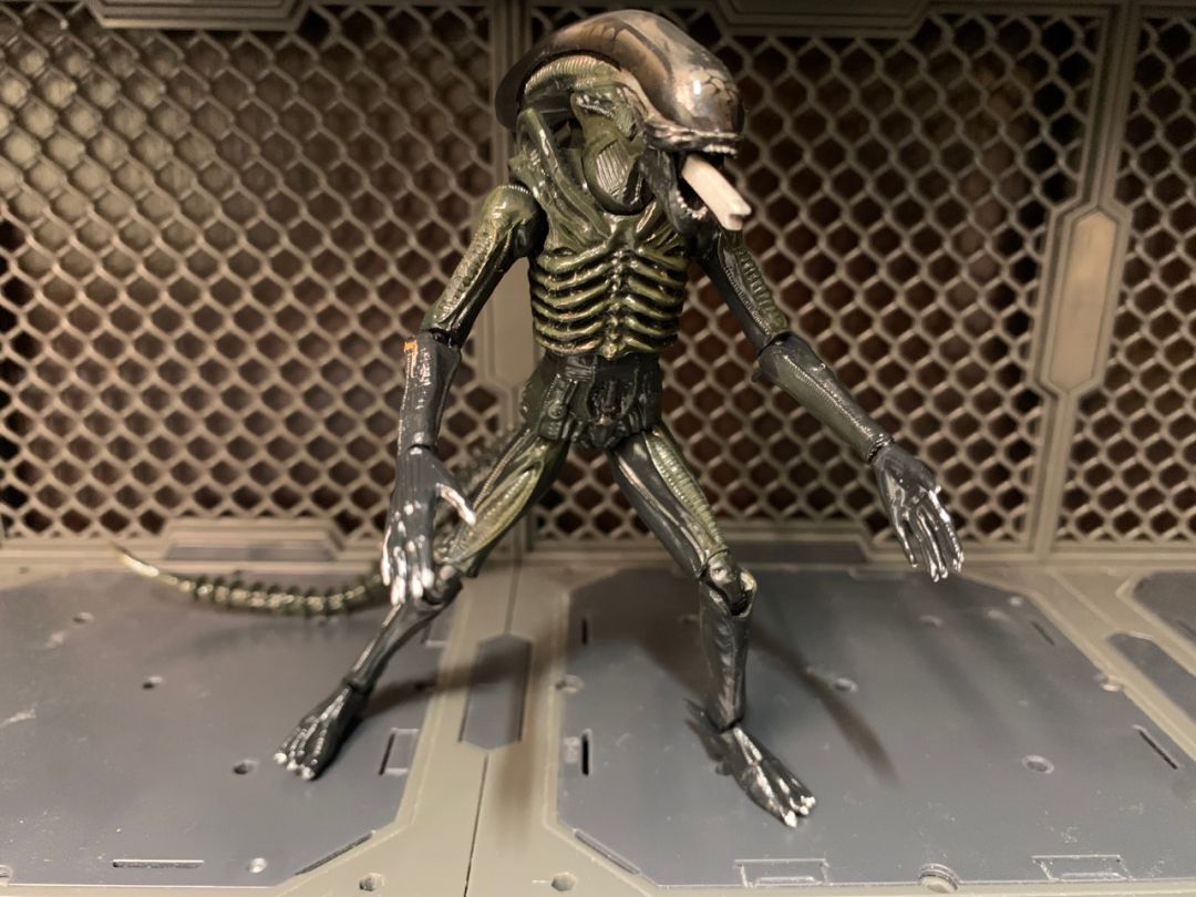 Big Chap (Xenomorph) - Image 2