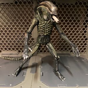 Big Chap (Xenomorph)