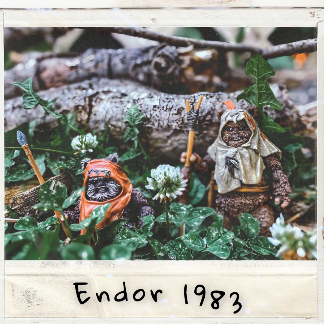 Endor 1983 - Image 1