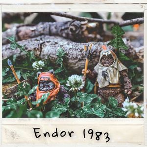Endor 1983