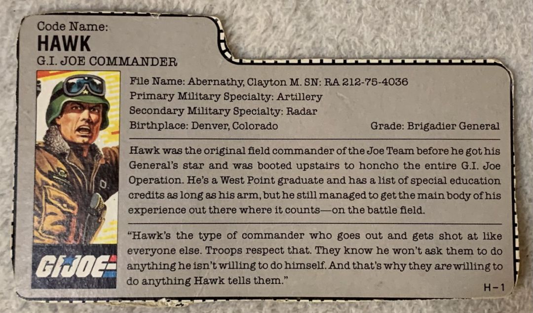 Hawk - Image 4
