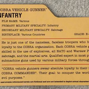 Cobra Vehicle Gunner