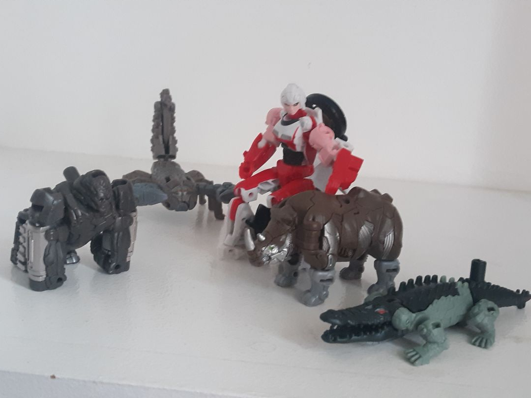 Arcee - Image 5