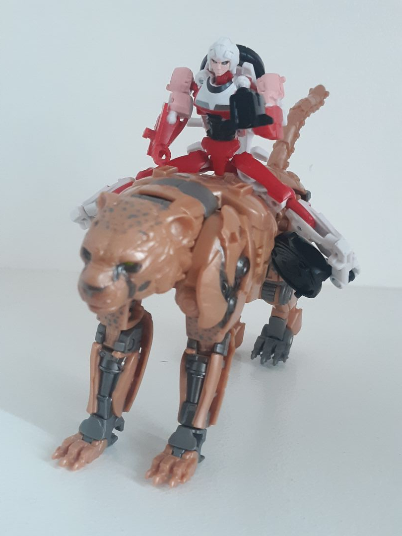 Arcee - Image 7