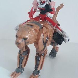 Arcee
