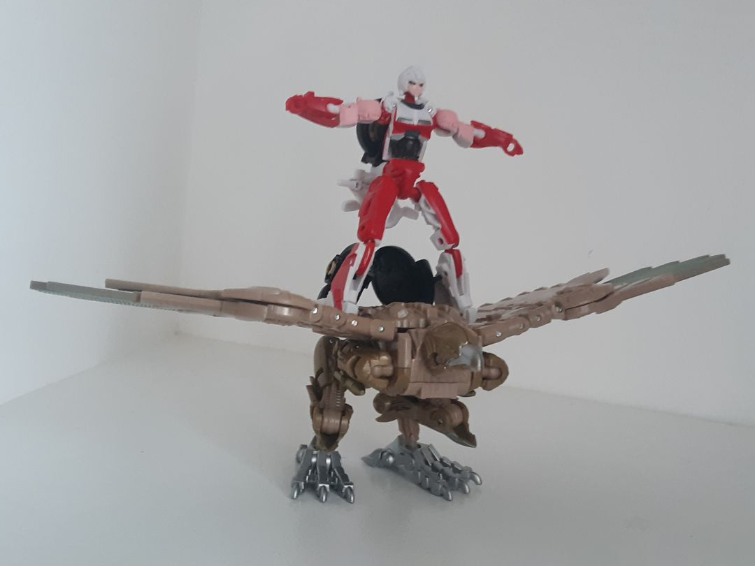 Arcee - Image 9