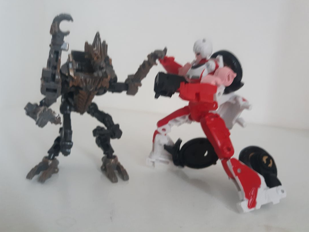 Arcee - Image 10