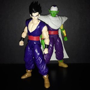 Master and Student