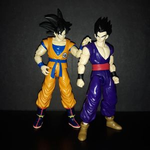 Master and Student