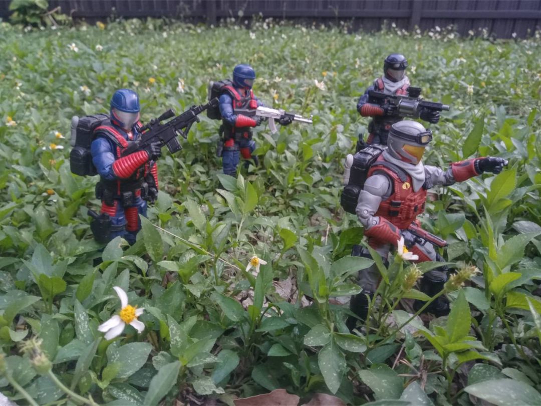 Rough Landing - Image 4