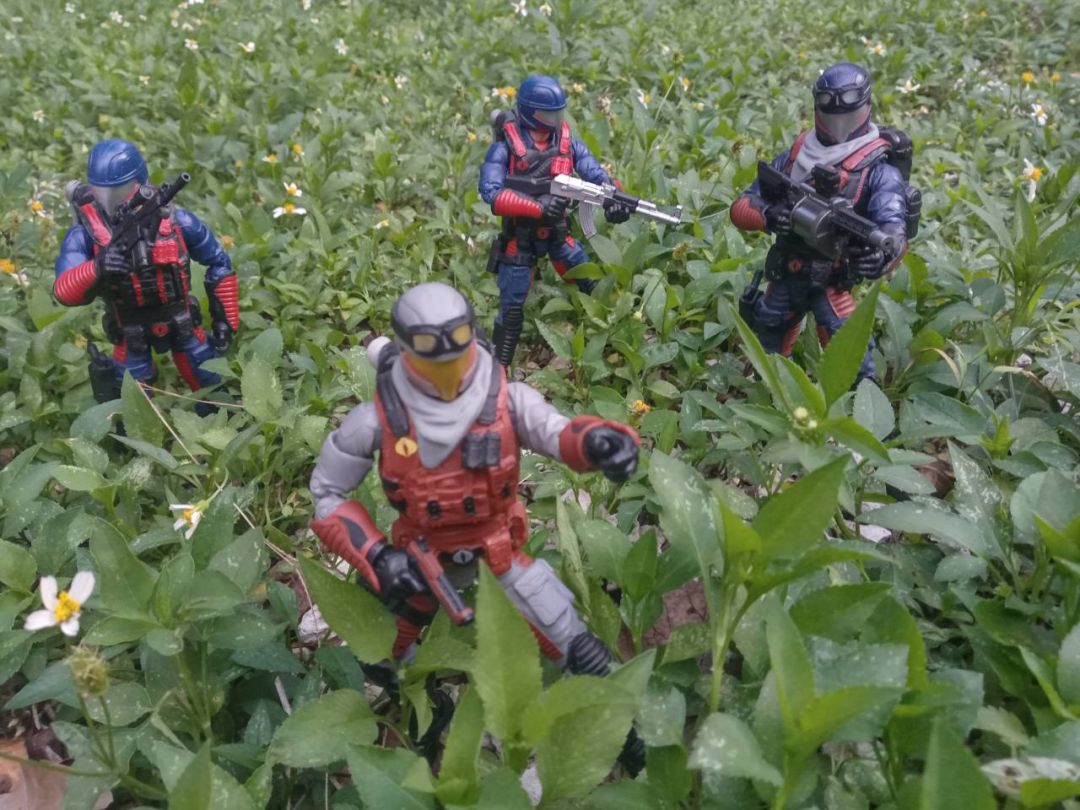 Rough Landing - Image 5